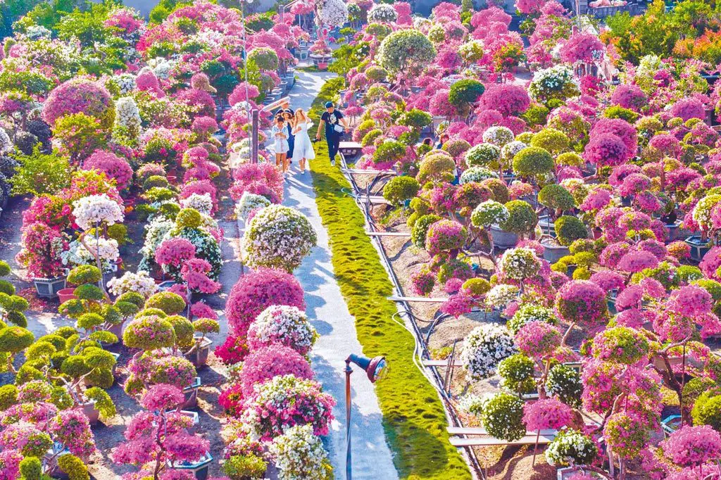 田尾公路花園